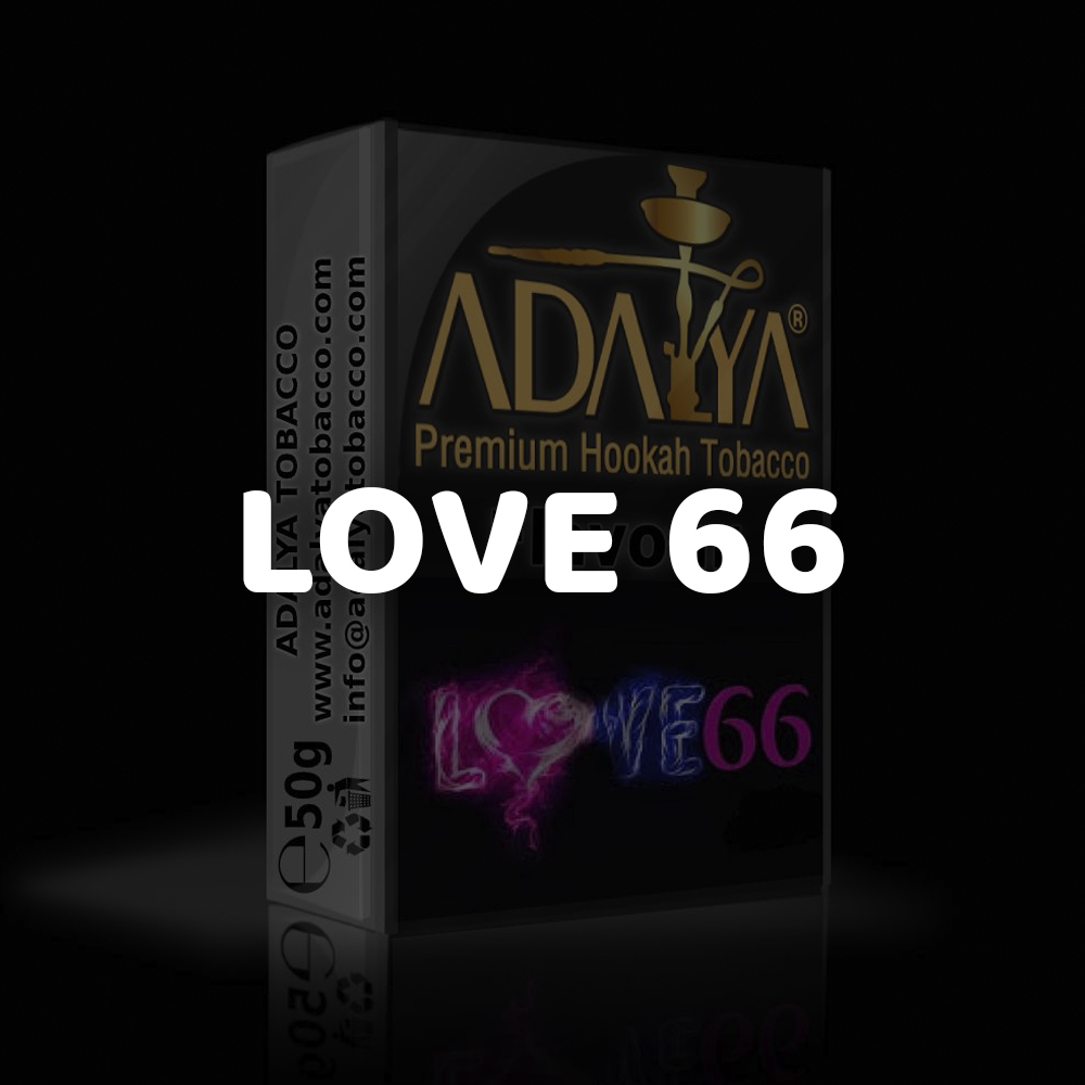 LOVE 66